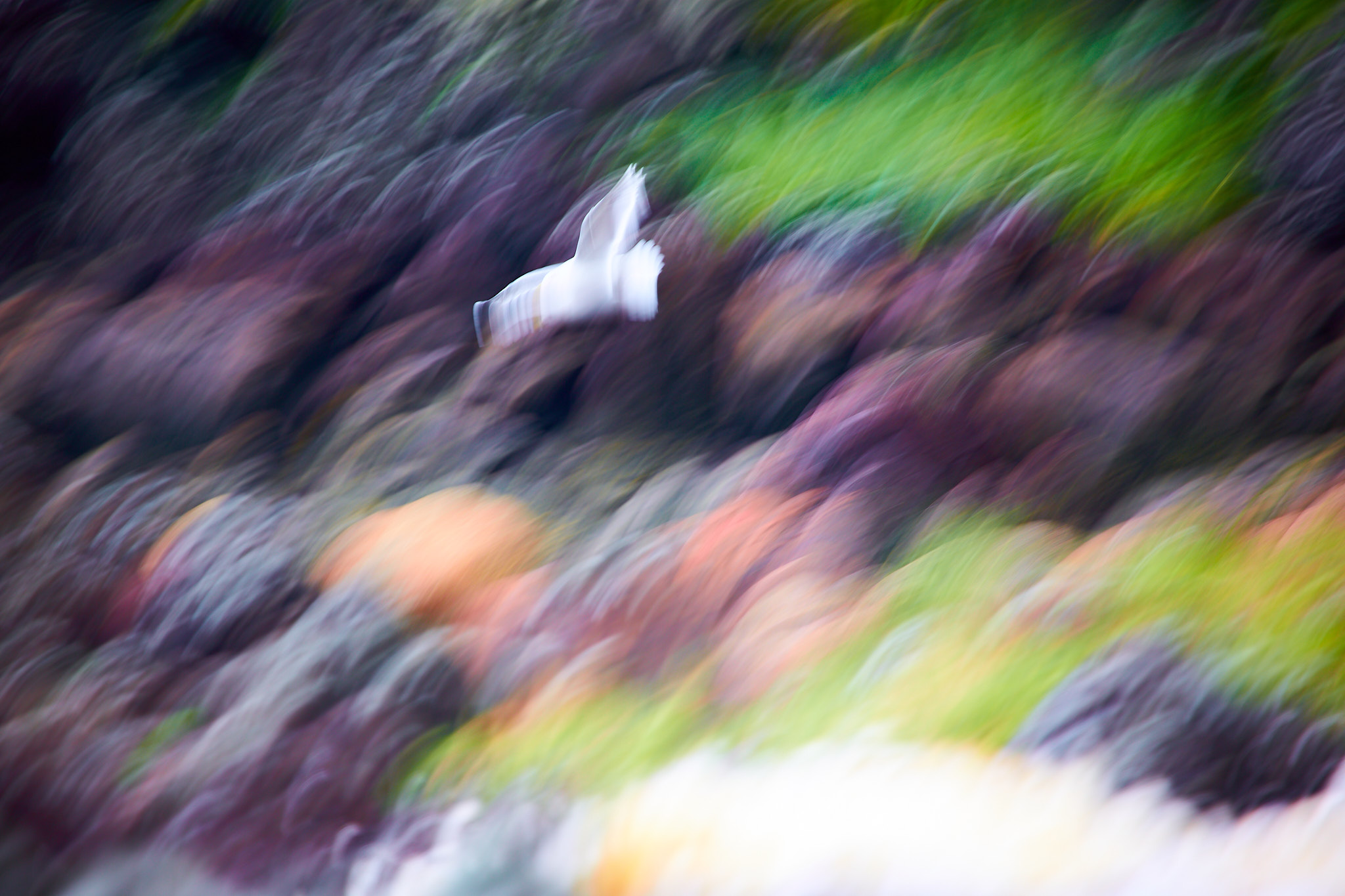 2014Aug09_alaska-58