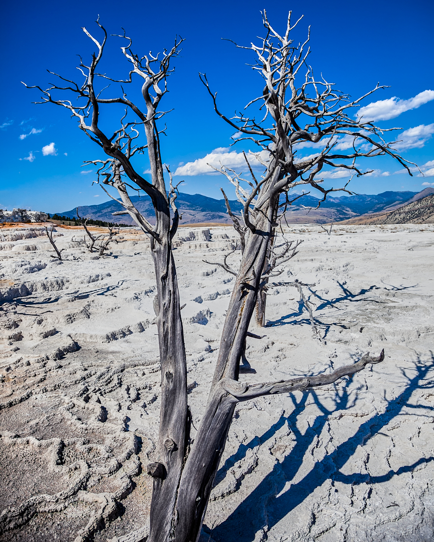 2011Sep02_yellowstone_0308-Edit-Edit
