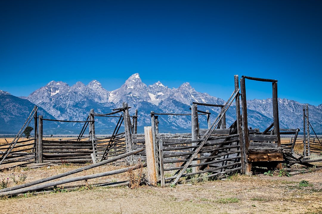 2011Sep10_yellowstone_1022-Edit-Edit