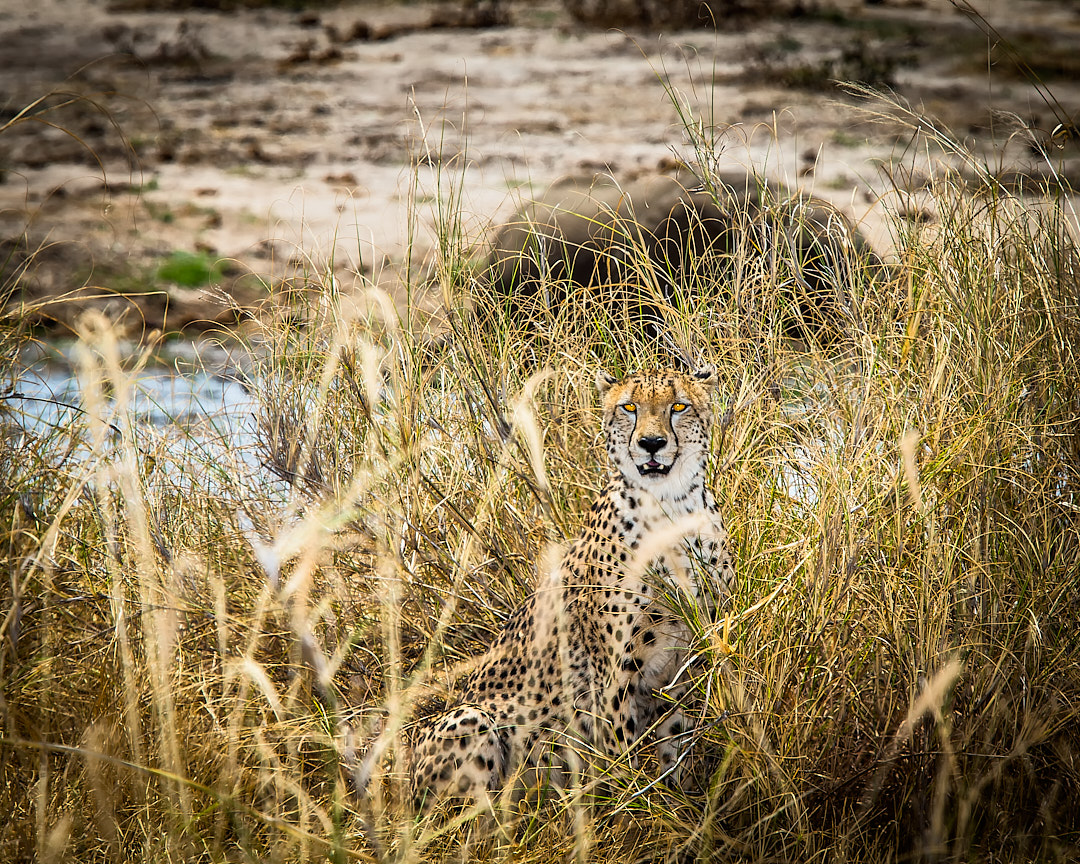 2013Sep23_tanzania-1056-Edit
