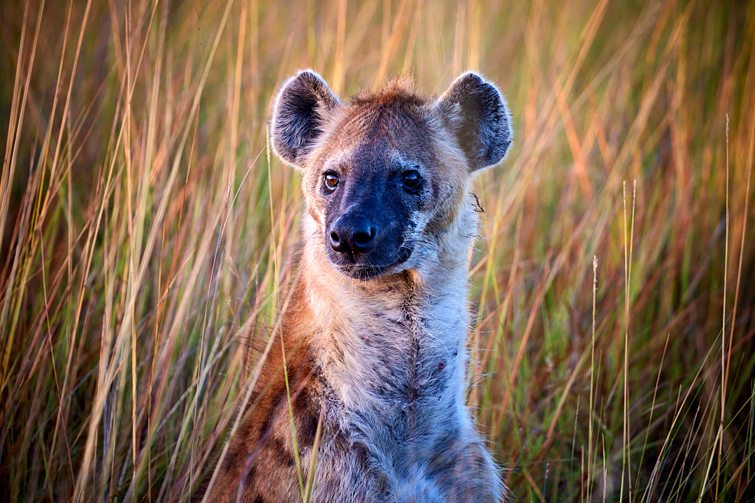 2023May06_sa_botswana_1547
