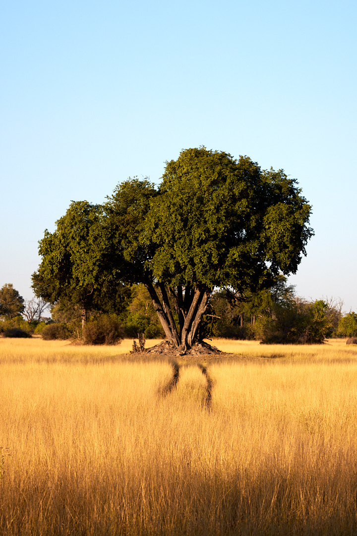 2023May06_sa_botswana_2905