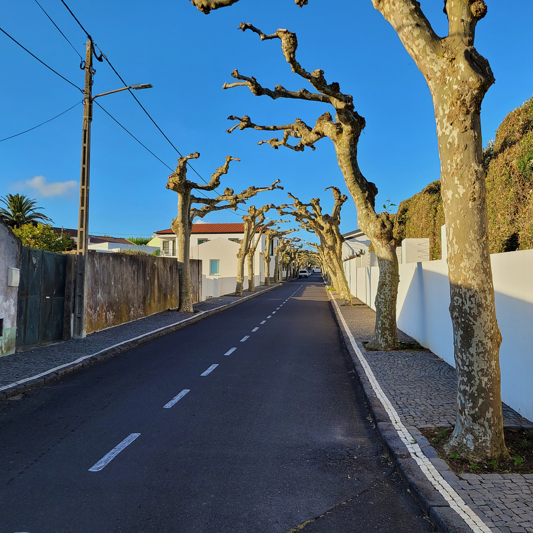 2024Apr29_azores-0264